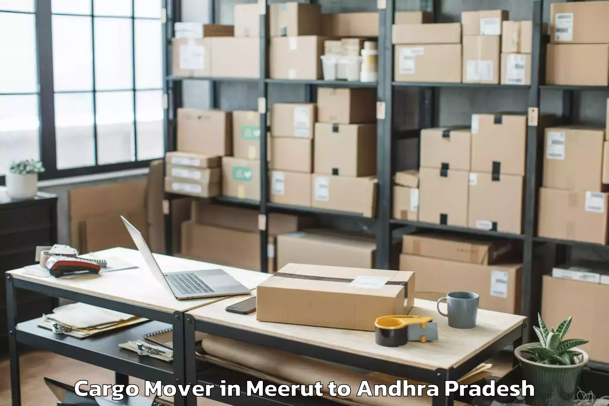 Book Meerut to Tuni Cargo Mover Online